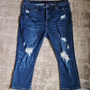 Judy Blue 15 Distressed Blue Jeans for Women